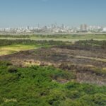 Controlan incendio en Isla Salamanca tras operación aérea con más de 28 descargas de agua